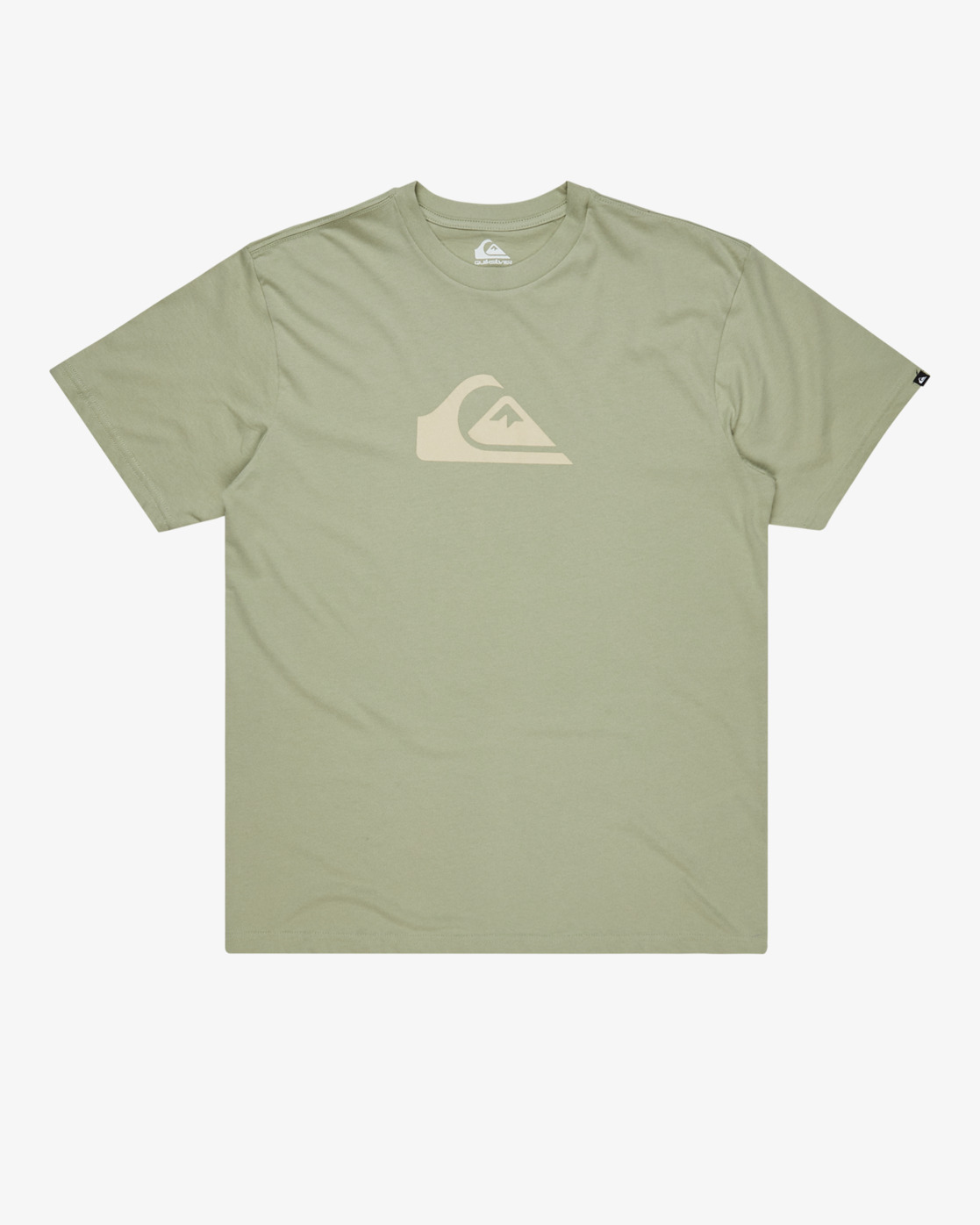 Comp Logo T-shirt In Desert Sage