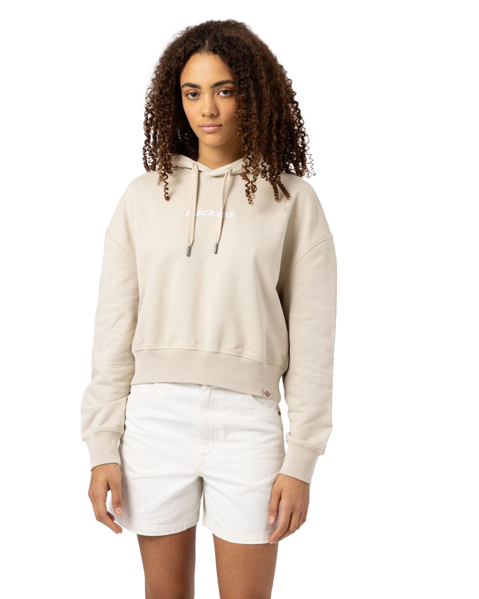 Loretto Boxy Hoodie In Cement