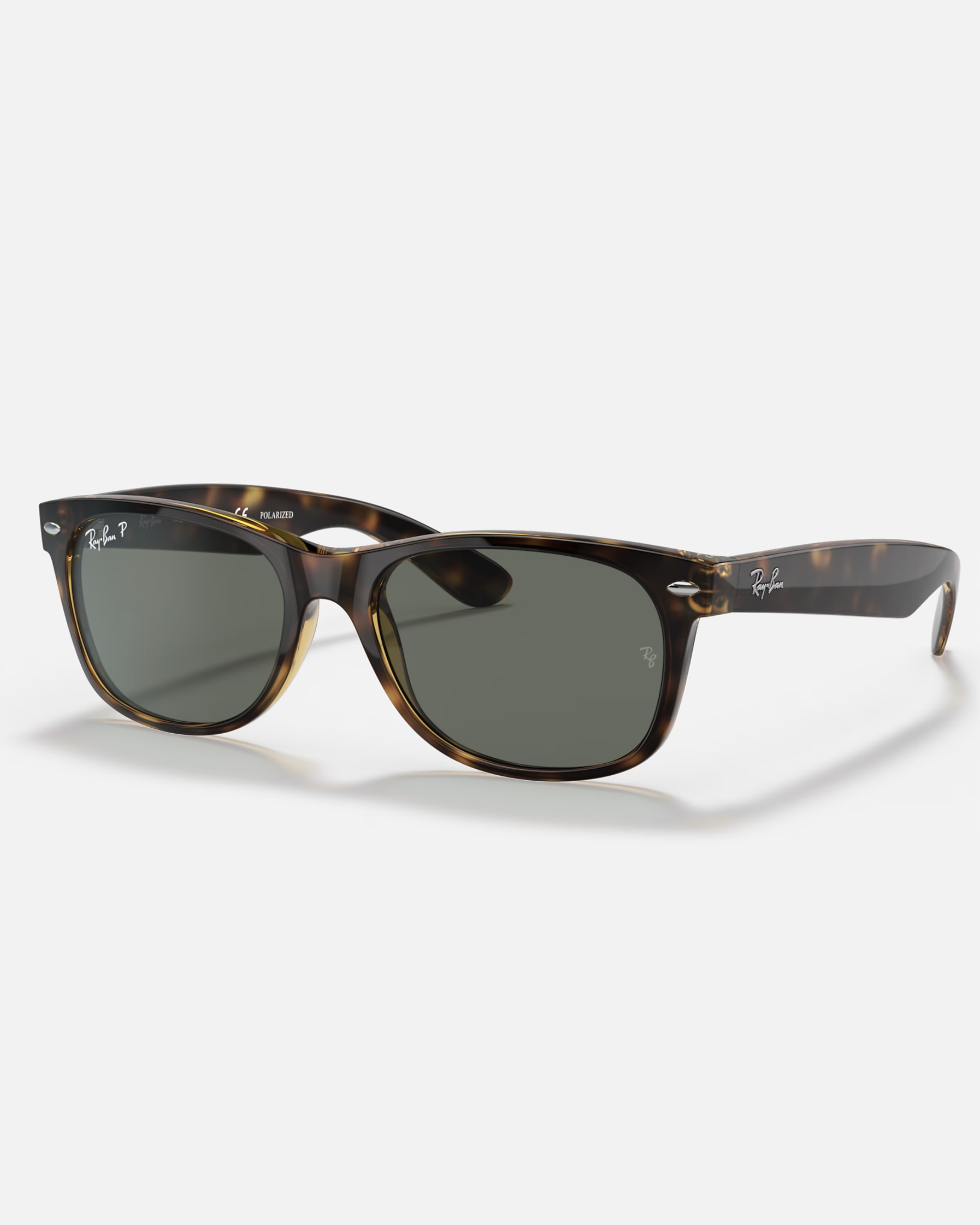 New Wayfarer Polarised Sunglasses In Gloss Tortoise