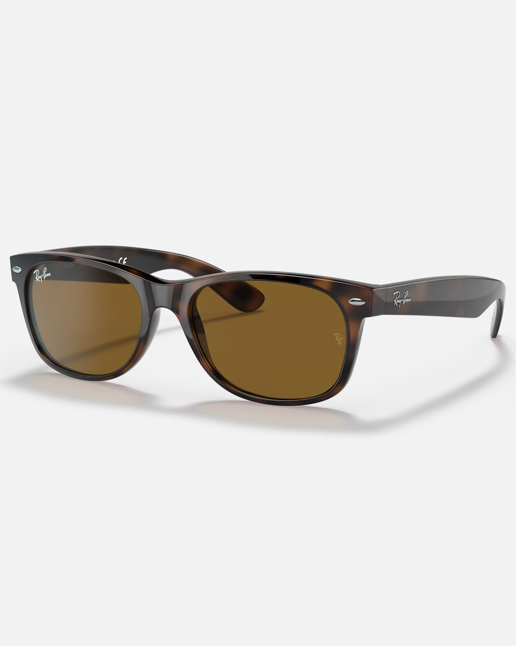 New Wayfarer Sunglasses In Brown