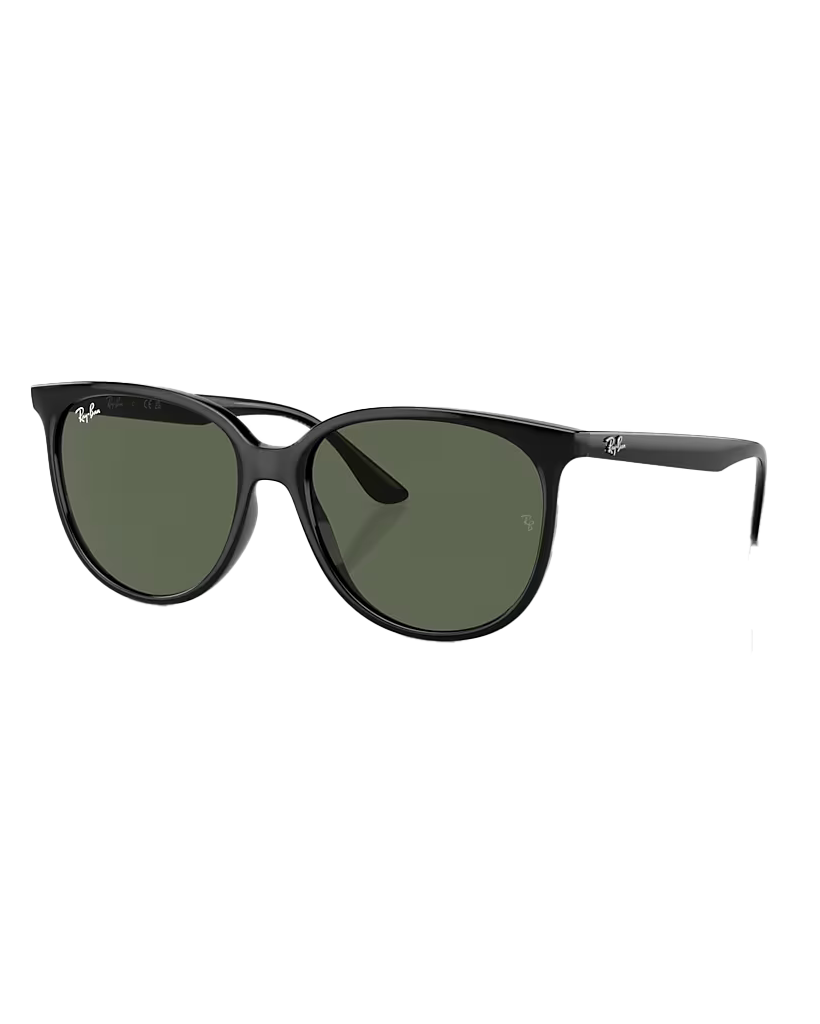 Rb4378 Sunglasses In Black