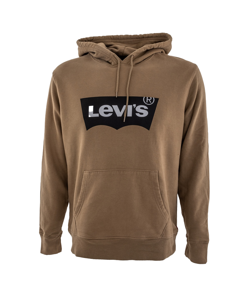 Standard Graphic Hoodie In Petrified Oak