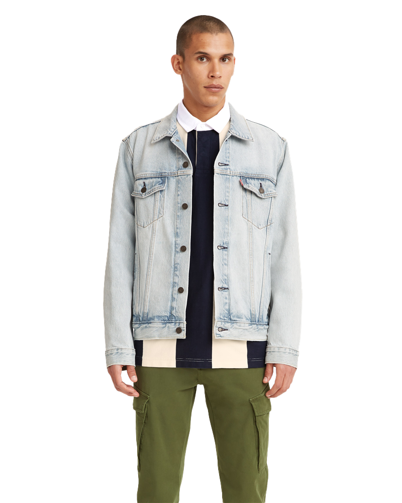 The Trucker Jacket In New Light Trucker