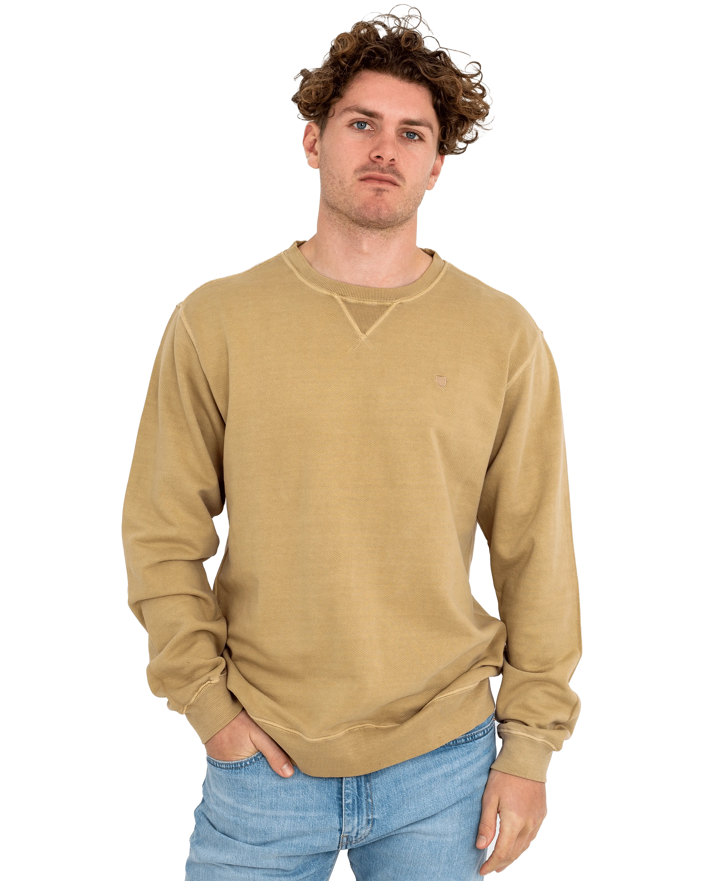 Vintage Reserve Sweatshirt In Sand