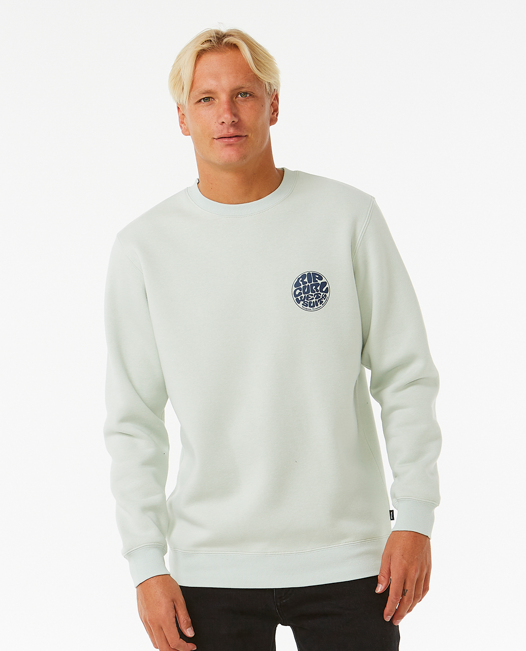 Wetsuit Icon Sweatshirt In Mint